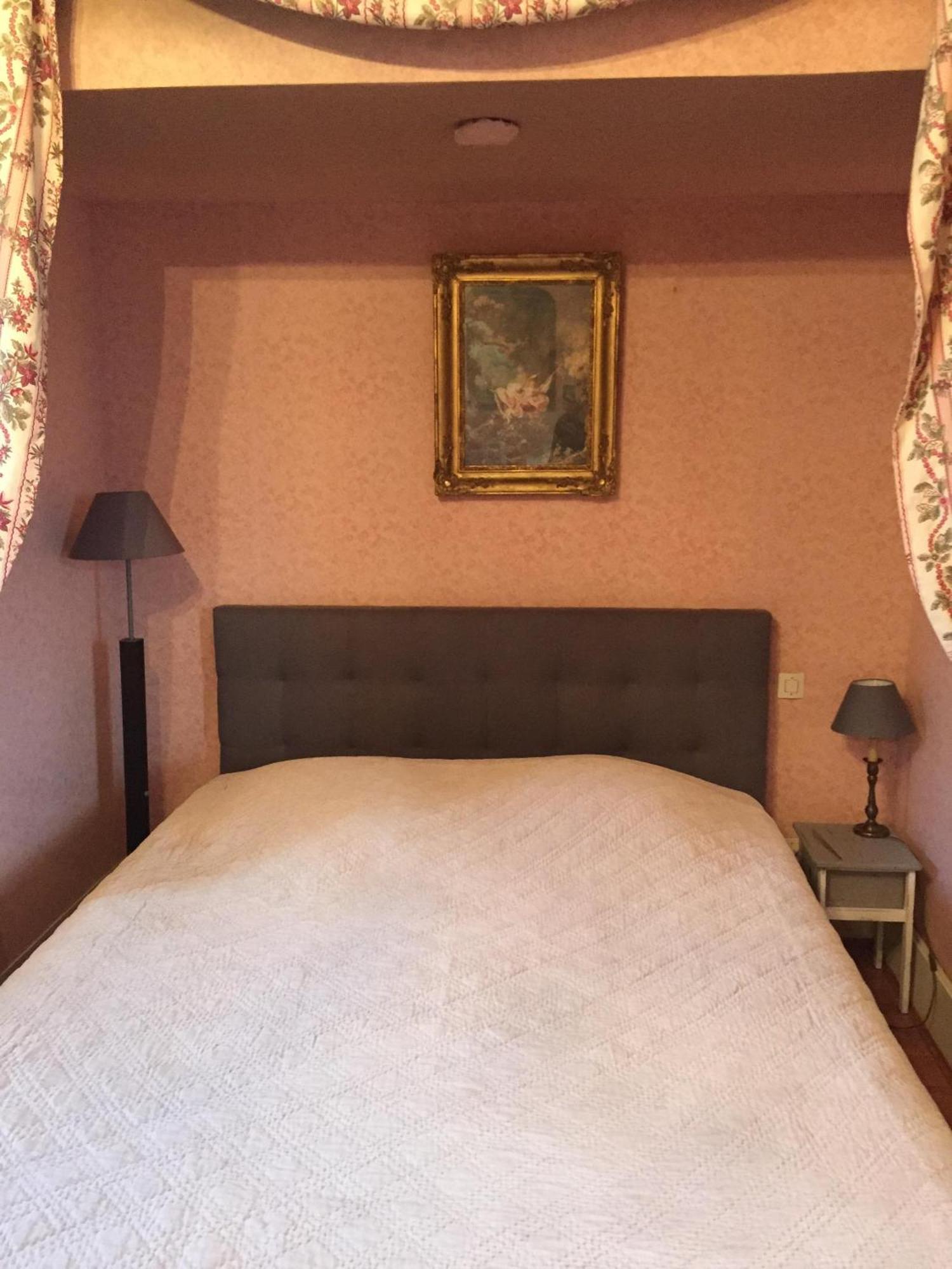 Chateau De Pintray Lussault-sur-Loire Номер фото